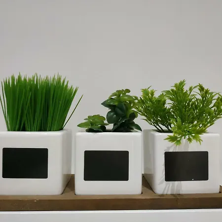 30 Mq Palo del Colle