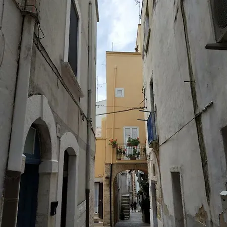 30 Mq Palo del Colle